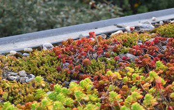 the cost of Old Llanberis Or Nant Peris green roof installation