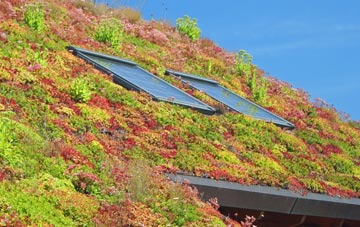 Old Llanberis Or Nant Peris living roof systems